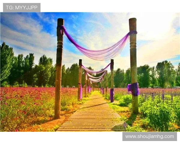 皇冠注册登录入口官方网站入口访问方式详解及安全保障措施